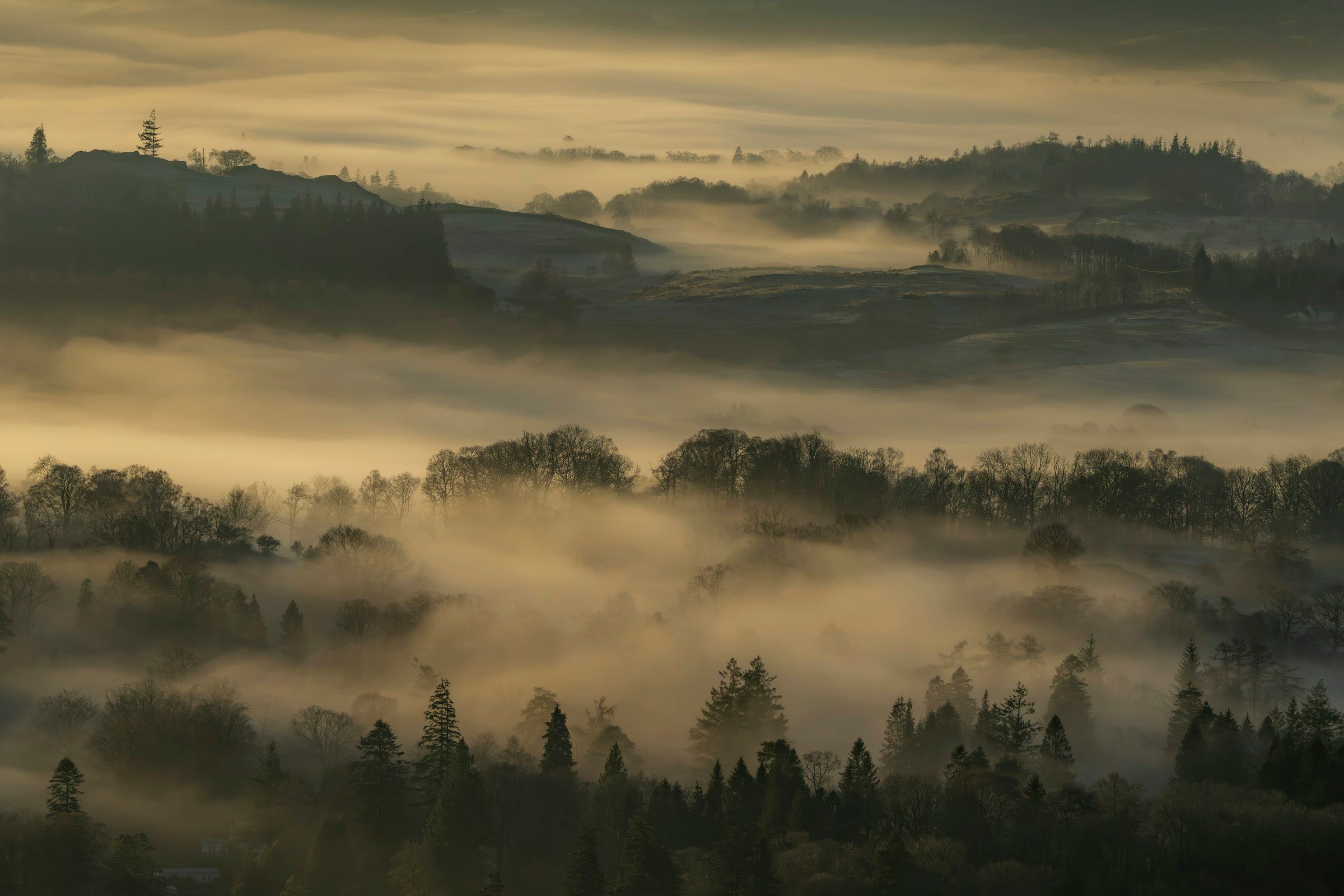 Soft morning mist between wooded hills at sunrise